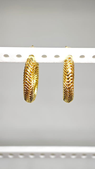 Veluare Royal 14K Gold Balıksırtı Model Kalın Halka Küpe