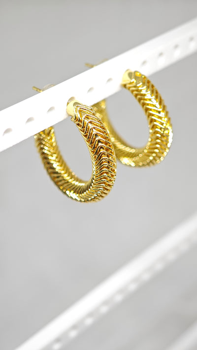 Veluare Royal 14K Gold Balıksırtı Model Kalın Halka Küpe